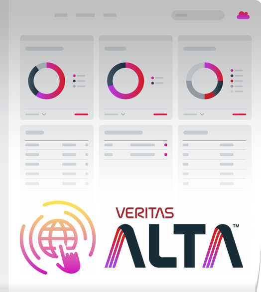 Veritas Security