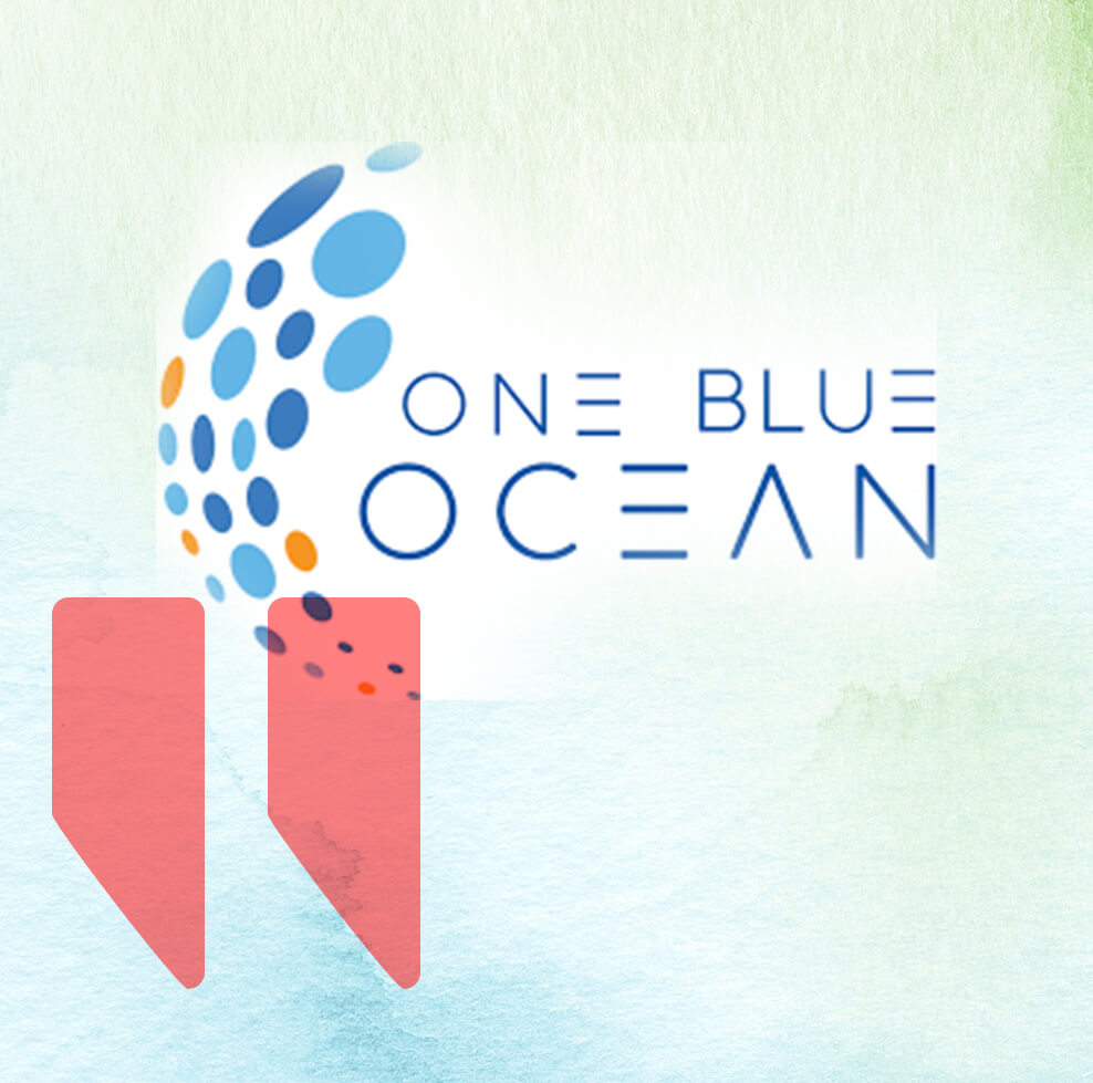 One Blue Ocean Business Solutions